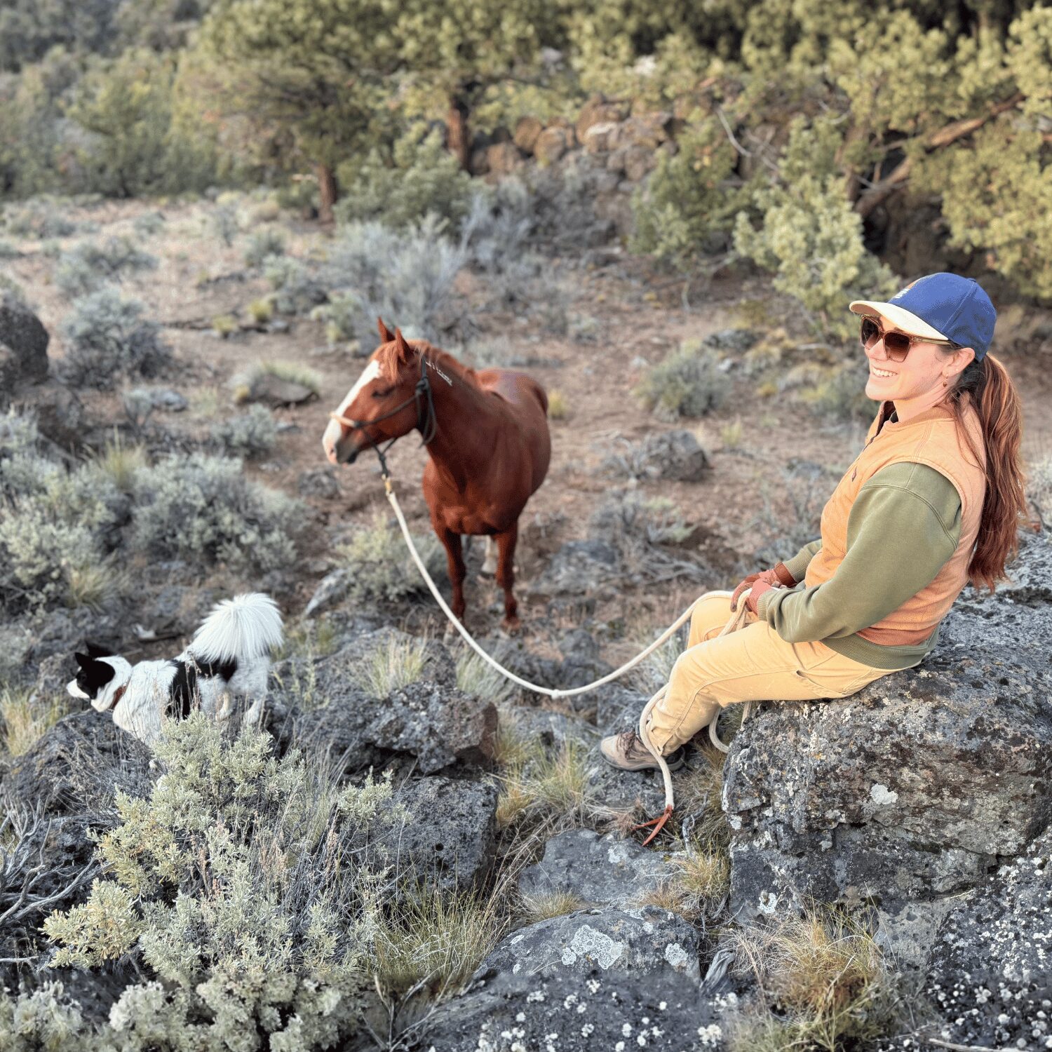 Horse in the high desert