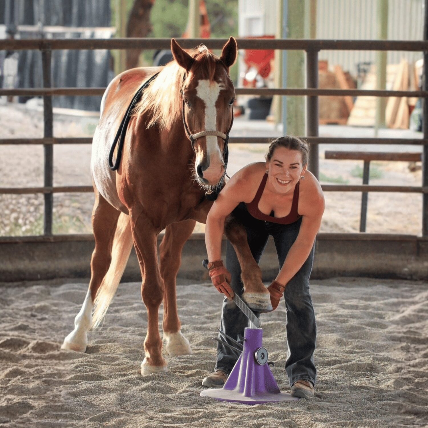 Alex trimming a horse in the arena